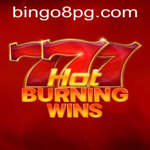 Unveiling HotBurningWins: A New Era in Gaming with BINGO8