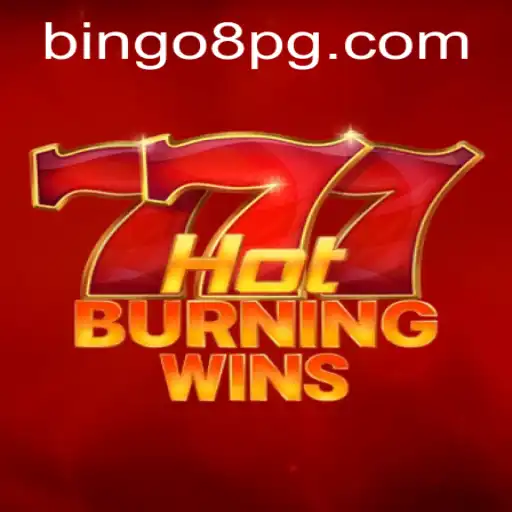 Unveiling HotBurningWins: A New Era in Gaming with BINGO8